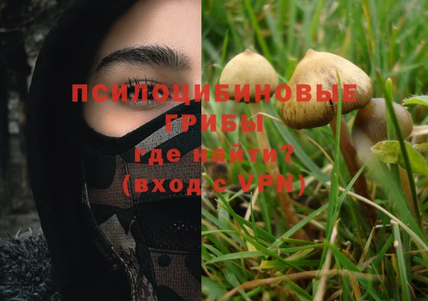 соль курить ск Вязьма
