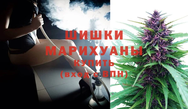 мяу мяу мука Вяземский