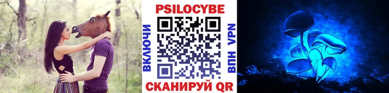 Купить где  Обоянь  Псилоцибиновые грибы Psilocybine cubensis 